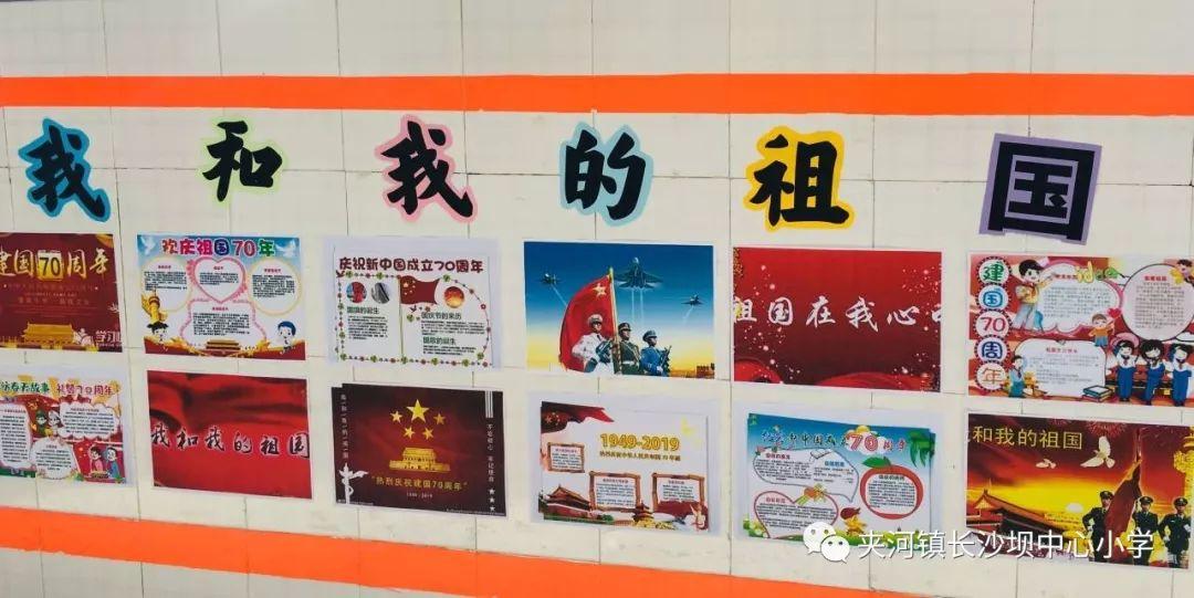 家庭与友情的交织：我在澳洲互惠生项目的日常生活